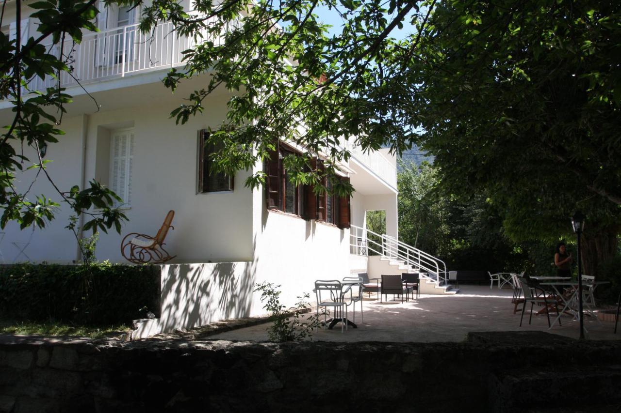 Bed and Breakfast 1Er Consul Sas A Bussinca Bocognano Exterior foto