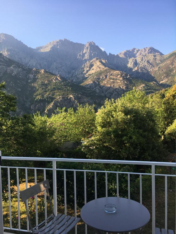 Bed and Breakfast 1Er Consul Sas A Bussinca Bocognano Exterior foto